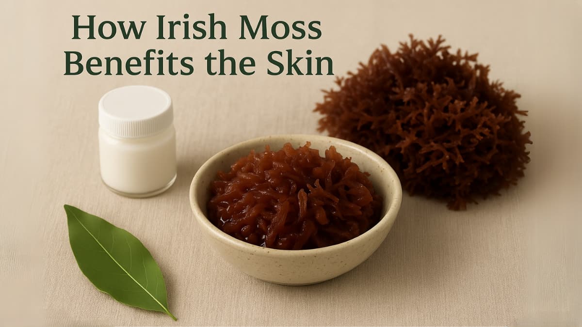 Irish moss in a bowl with a container and leaf on a beige background, text about skin benefits.