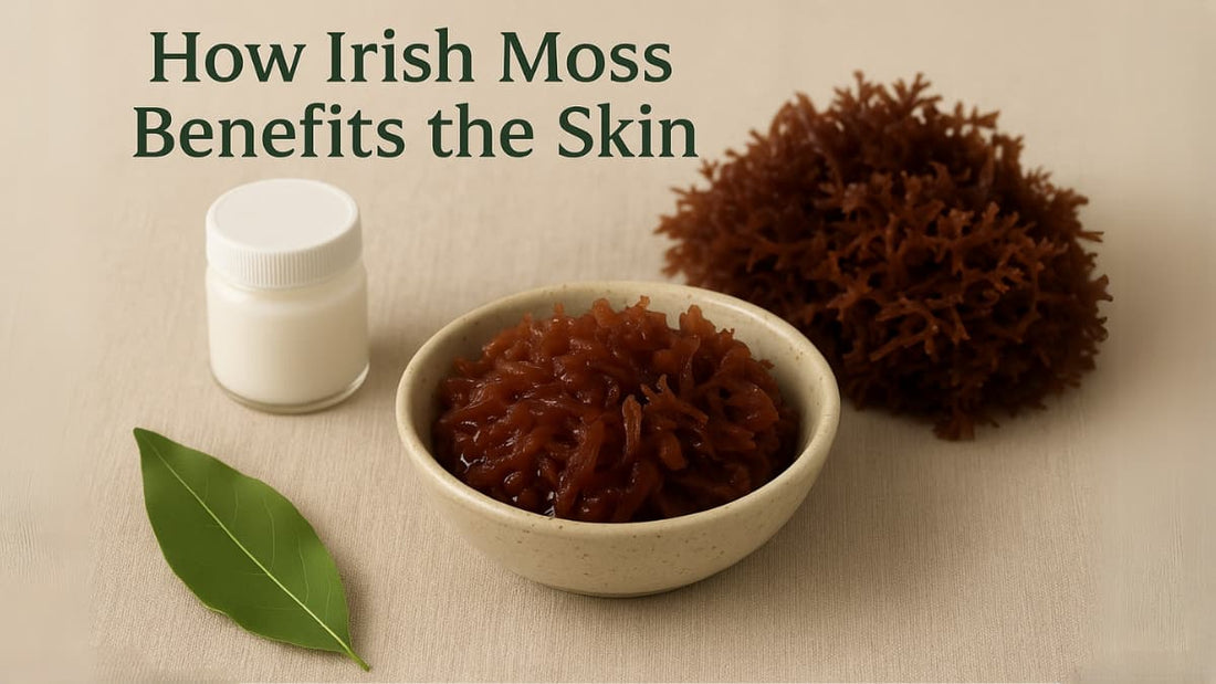 Irish moss in a bowl with a container and leaf on a beige background, text about skin benefits.